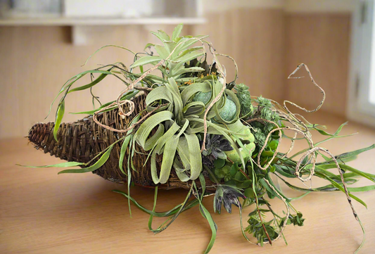 Pumpkin and Succulent Cornecopia